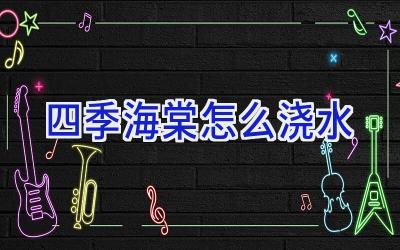 四季海棠怎么浇水插图 四季海棠怎么浇水插图