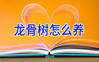 龙骨树怎么养插图