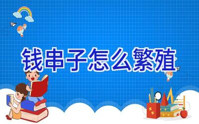 钱串子怎么繁殖插图 钱串子怎么繁殖插图