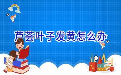 芦荟叶子发黄怎么办插图 芦荟叶子发黄怎么办插图