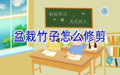 盆栽竹子怎么修剪插图 盆栽竹子怎么修剪插图