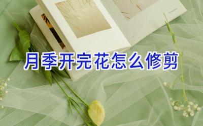 月季开完花怎么修剪插图 月季开完花怎么修剪插图