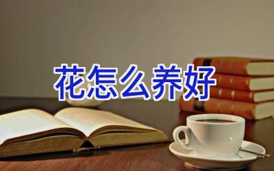 花怎么养好插图 花怎么养好插图
