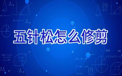 五针松怎么修剪插图 五针松怎么修剪插图