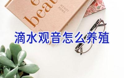 滴水观音怎么养殖插图 滴水观音怎么养殖插图