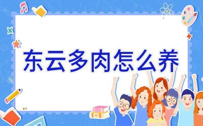 东云多肉怎么养插图 东云多肉怎么养插图