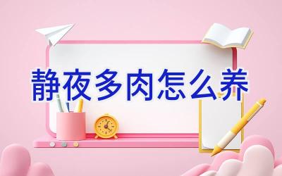 静夜多肉怎么养插图 静夜多肉怎么养插图