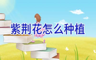紫荆花怎么种植插图 紫荆花怎么种植插图
