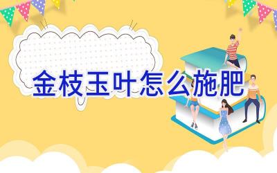 金枝玉叶怎么施肥插图