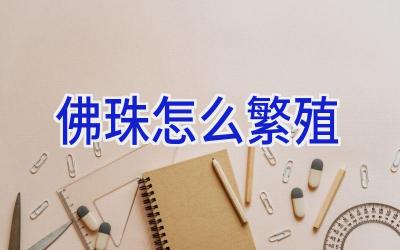 佛珠怎么繁殖插图 佛珠怎么繁殖插图
