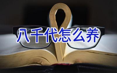 八千代怎么养插图