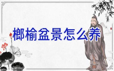 榔榆盆景怎么养插图