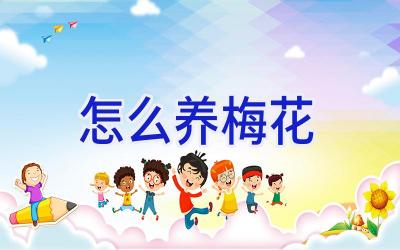 怎么养梅花插图 怎么养梅花插图