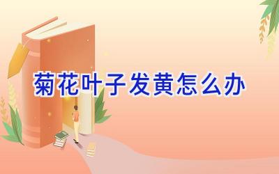 菊花叶子发黄怎么办插图 菊花叶子发黄怎么办插图