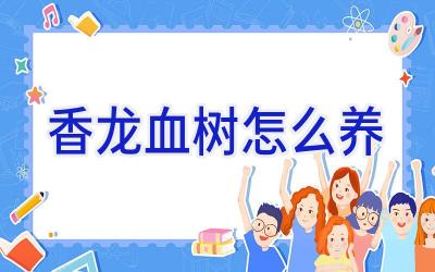 香龙血树怎么养插图1