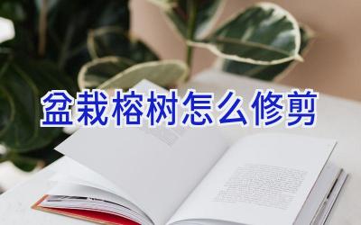 盆栽榕树怎么修剪插图 盆栽榕树怎么修剪插图