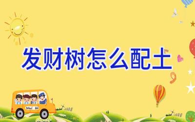 发财树怎么配土插图