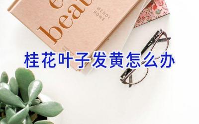 桂花叶子发黄怎么办插图 桂花叶子发黄怎么办插图