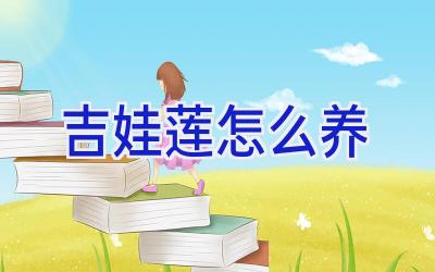 吉娃莲怎么养插图