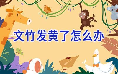 文竹发黄了怎么办插图