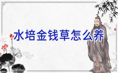 水培金钱草怎么养插图 水培金钱草怎么养插图