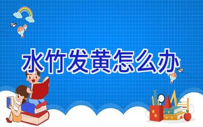 水竹发黄怎么办插图 水竹发黄怎么办插图