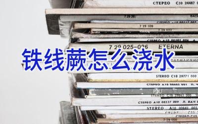 铁线蕨怎么浇水插图 铁线蕨怎么浇水插图