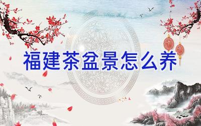 福建茶盆景怎么养插图