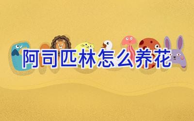 阿司匹林怎么养花插图 阿司匹林怎么养花插图