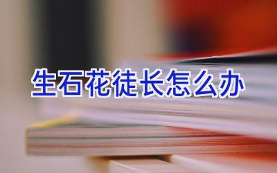 生石花徒长怎么办插图 生石花徒长怎么办插图