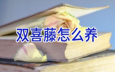 双喜藤怎么养插图