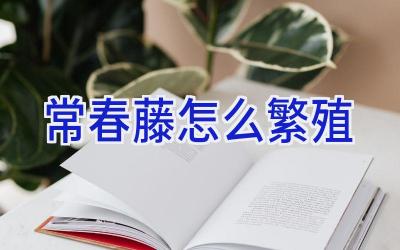 常春藤怎么繁殖插图