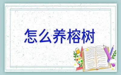 怎么养榕树插图