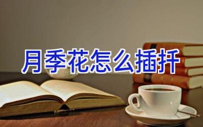 月季花怎么插扦插图 月季花怎么插扦插图