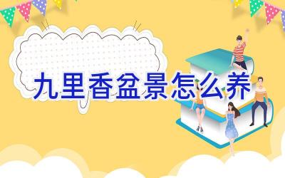 九里香盆景怎么养插图 九里香盆景怎么养插图