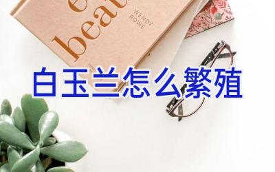 白玉兰怎么繁殖插图