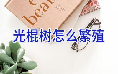 光棍树怎么繁殖插图