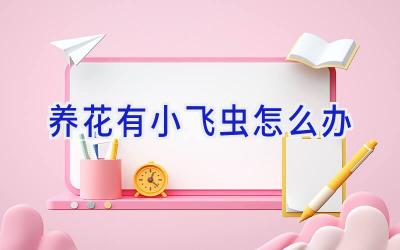 养花有小飞虫怎么办插图