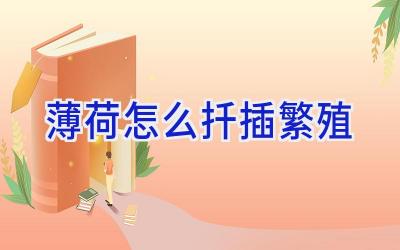 薄荷怎么扦插繁殖插图 薄荷怎么扦插繁殖插图