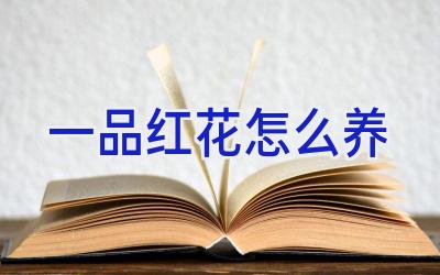一品红花怎么养插图 一品红花怎么养插图