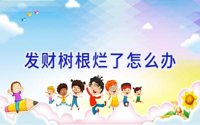 发财树根烂了怎么办插图 发财树根烂了怎么办插图