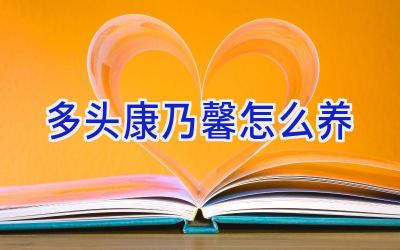多头康乃馨怎么养插图 多头康乃馨怎么养插图