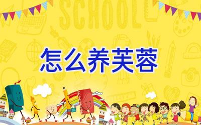 怎么养芙蓉插图 怎么养芙蓉插图