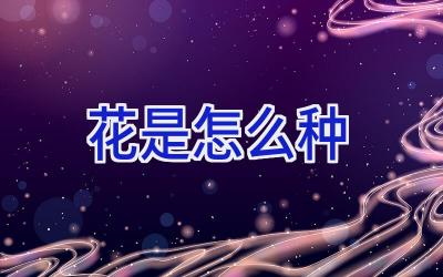 花是怎么种插图 花是怎么种插图