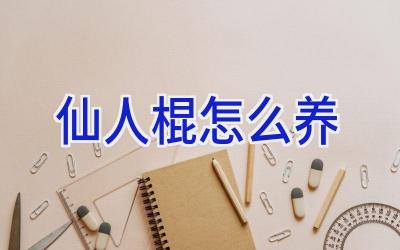 仙人棍怎么养插图