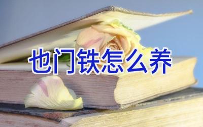 也门铁怎么养插图