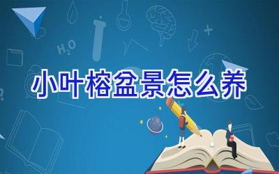 小叶榕盆景怎么养插图 小叶榕盆景怎么养插图