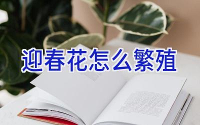 迎春花怎么繁殖插图