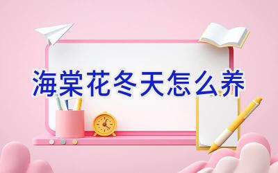 海棠花冬天怎么养插图 海棠花冬天怎么养插图