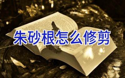 朱砂根怎么修剪插图